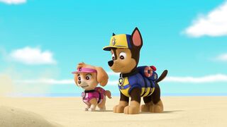 Щенячий патруть S8E06 Морской патруль. Щенки спасают морского пешехода - Морской патруль. Щенки спасают виндсёрфера