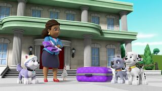 Щенячий патруть S8E09 Щенки спасают круиз сокровищ -  Щенки спасают реактивного Райдера