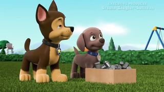 Щенячий патруть S8E17