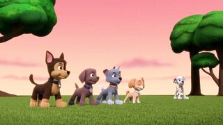 Щенячий патруть S8E18