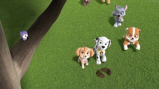 Щенячий патруть S8E23