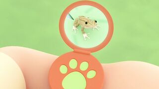 Рейнджер Лео и дикая природа S1E08 Квакша обыкновенная