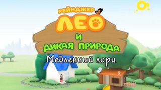 Рейнджер Лео и дикая природа S1E25 Медленный лори