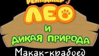 Рейнджер Лео и дикая природа S1E31 Макак-крабоед