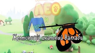 Рейнджер Лео и дикая природа S1E58 Желтоногий скальный валлаби